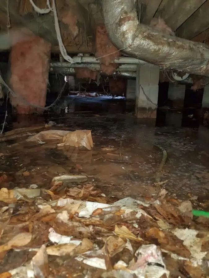 Crawl space flood assessment for Leak Detection & Repair in Marysville